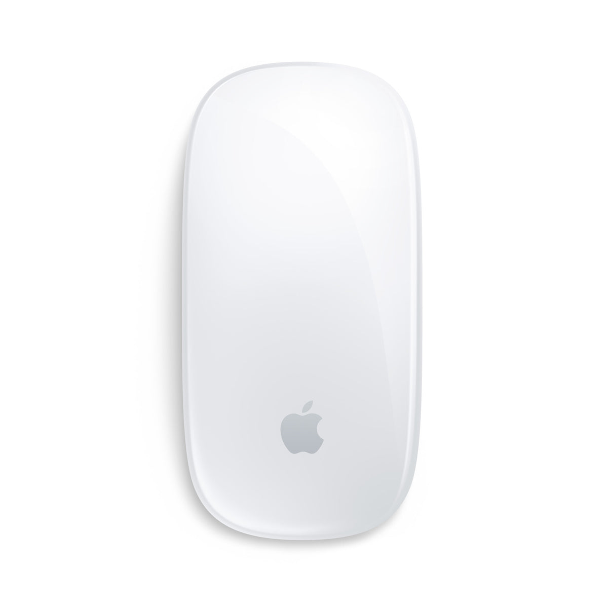 Apple Magic datormöss Kontor Ambidextrous Bluetooth