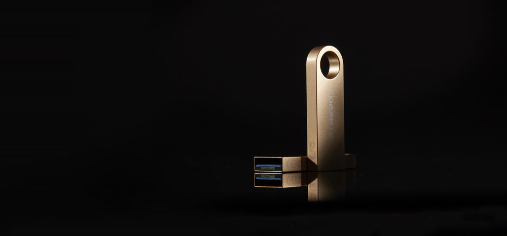 Kingston Technology DataTraveler SE9 G3 USB-sticka 64 GB USB Type-A 3.2 Gen 1 (3.1 Gen 1) Guld
