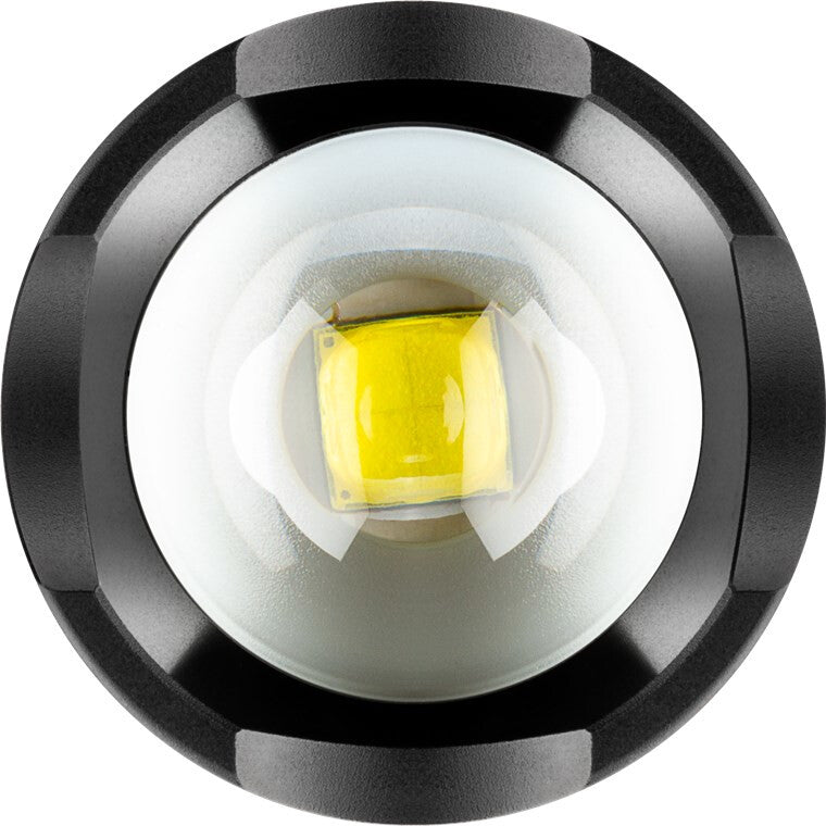 Goobay 44559 ficklampor Svart Universal ficklampa LED