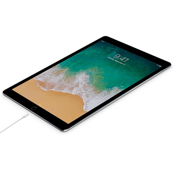 Apple MKQ42ZM 2 m Vit